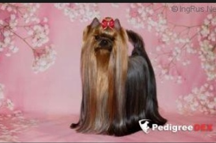 1762947189-Снимок экрана 2025-11-12 142403.png